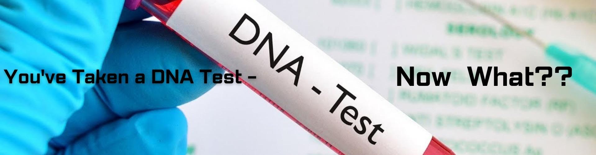 Taken a DNA Test
